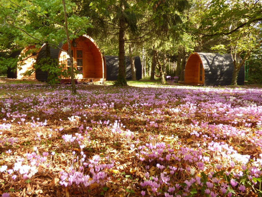 La Rossignolerie - Pod Cabanes Des Chateaux Chouzy-sur-Cisse Εξωτερικό φωτογραφία